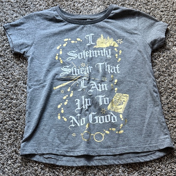 Warner Bros. Other - Warner Bros. Gray Tee with Magical Gold Print